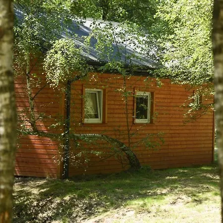 Betula Malechowo