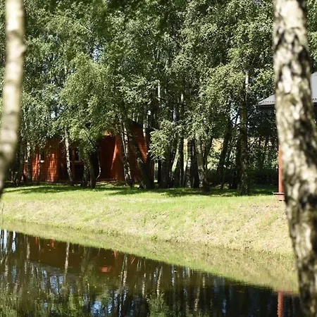 Betula * Malechowo