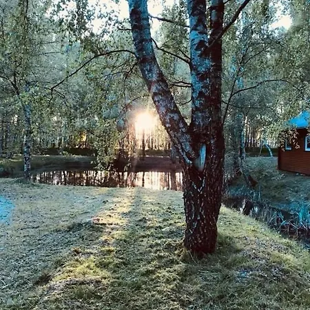 Betula Campsite Malechowo
