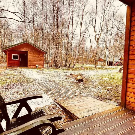 Campsite Betula