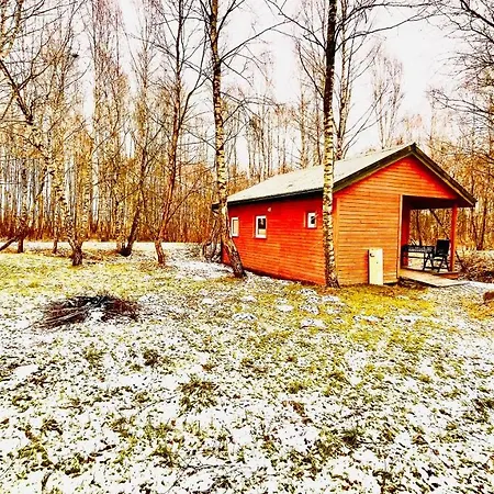 Betula Campsite *