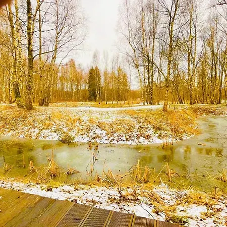 Campsite Betula *