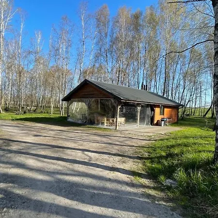 Campsite Betula