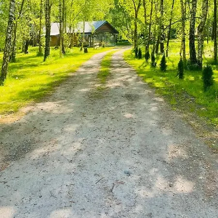 Betula Campsite