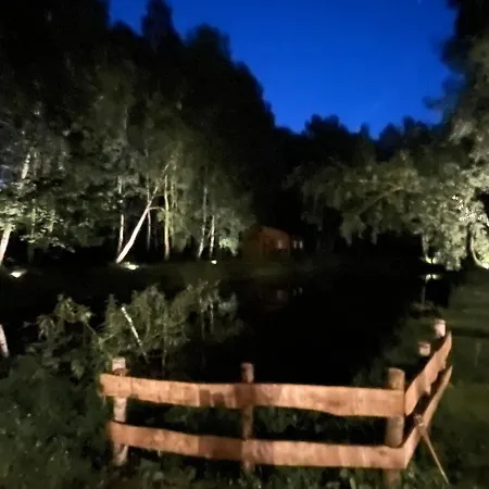 Campsite Betula Malechowo