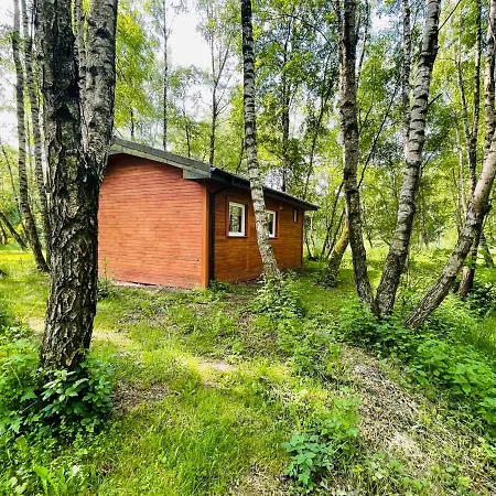 Campsite Betula *