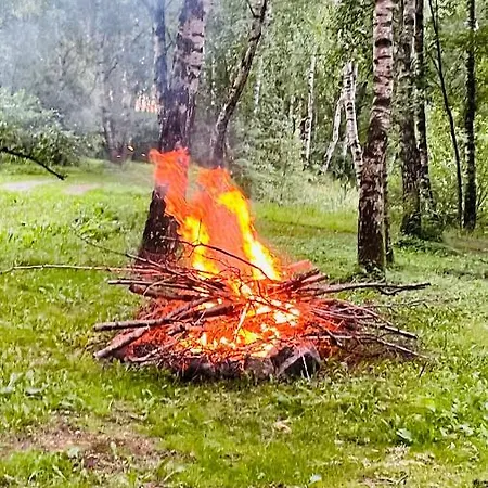 Betula Malechowo