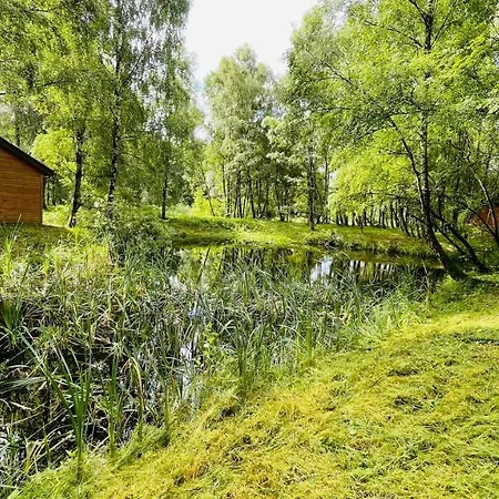 Campsite Betula