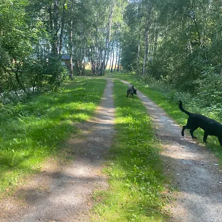 Betula Campsite Malechowo