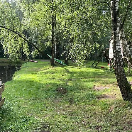Betula Campsite *