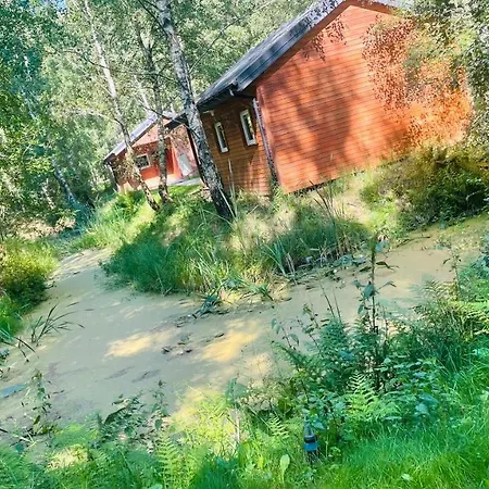 Betula Campsite Malechowo