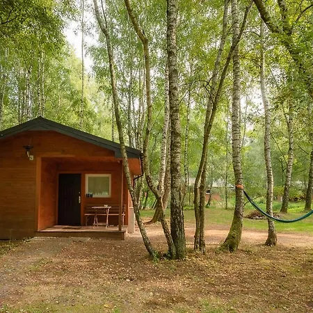 Campsite Betula *