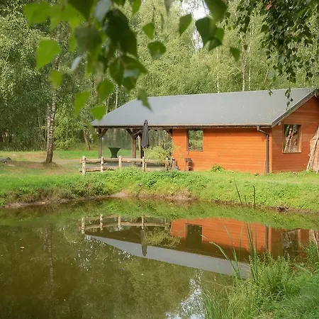 Campsite Betula *