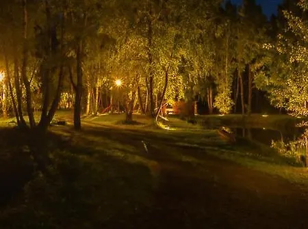 Betula Campsite