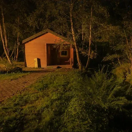 Betula Campsite