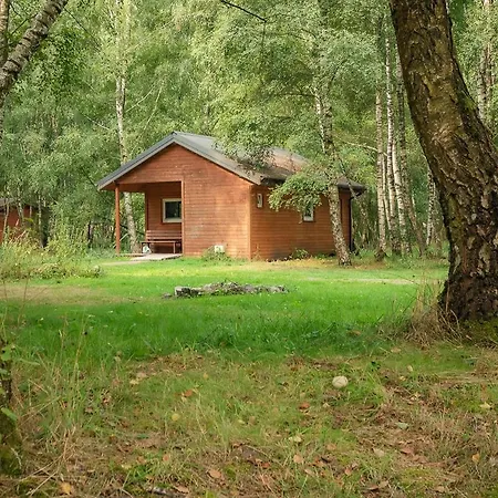 Betula Malechowo