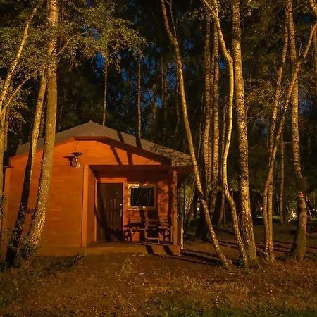 Betula Campsite *