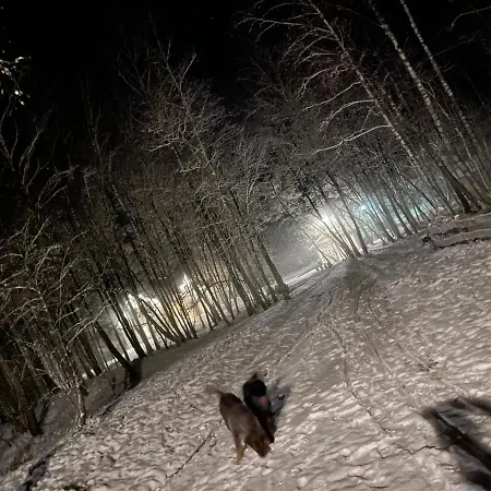 Campingplads Betula